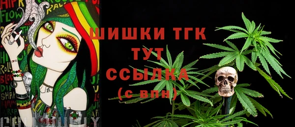 ECSTASY Костерёво