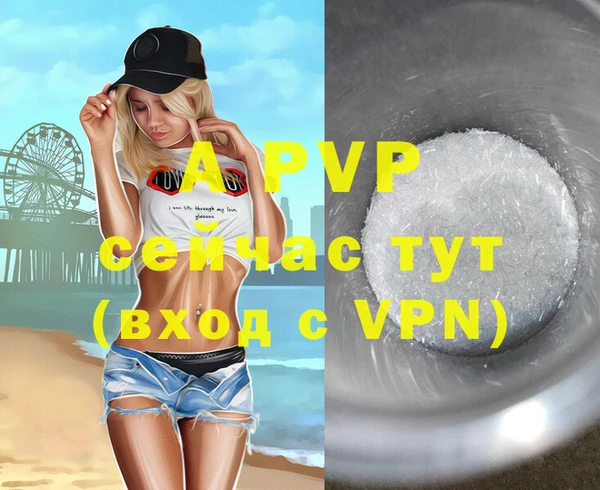 ECSTASY Костерёво