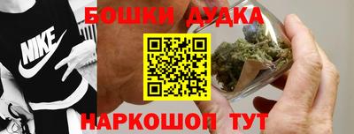 гашик Дубна