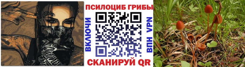 наркотики  hydra сайт  Галлюциногенные грибы ЛСД  Псков 