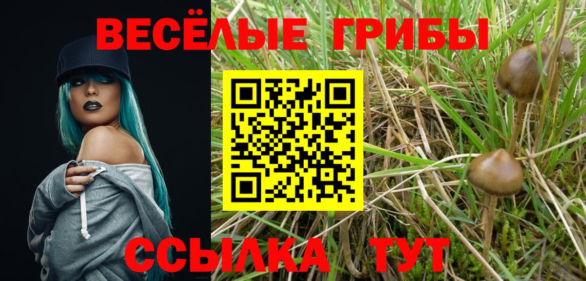 Псилоцибиновые грибы мухоморы  Галлюциногенные грибы Magic Shrooms  Псков  Вход с VPN 