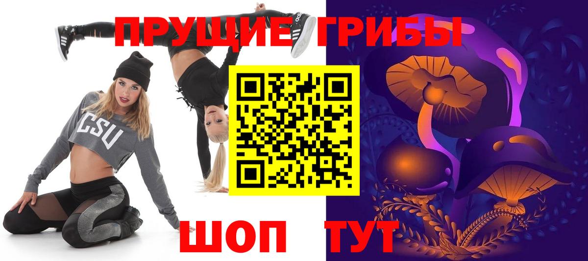 Псилоцибиновые грибы GOLDEN TEACHER Псков