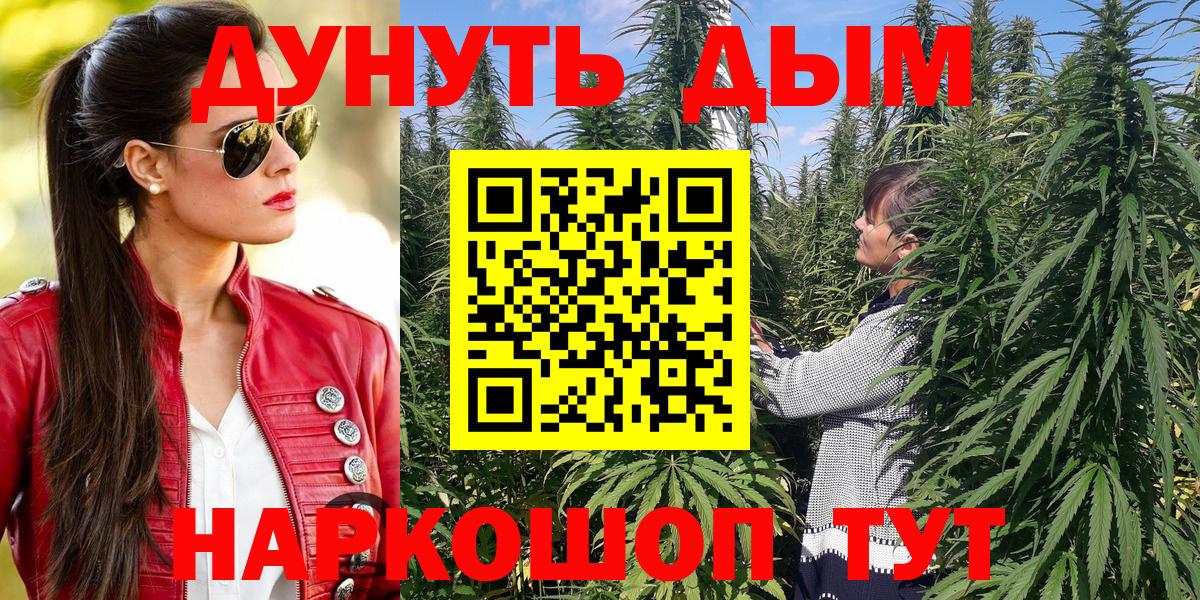 Шишки марихуана конопля Псков